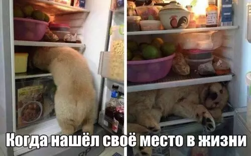 Смешная картинка №310011