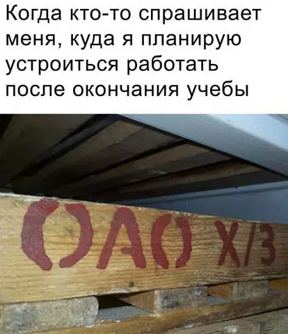 Смешная картинка №380983 работа