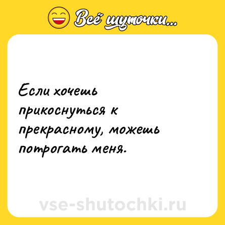 Шутка: Если хочешь прикоснуться к прекрасному, можешь потрогать меня.