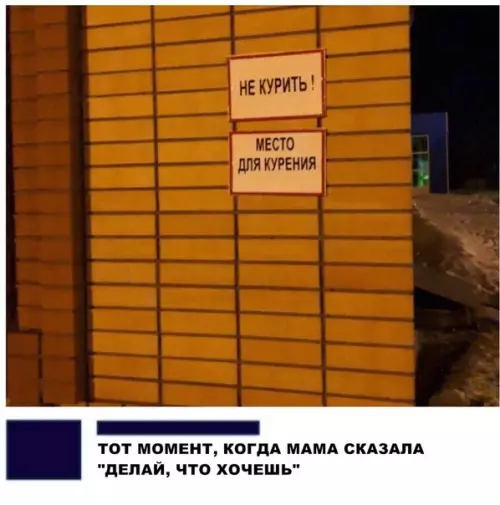 Смешная картинка №289357