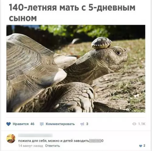 Смешная картинка №215298