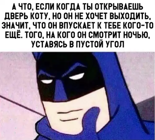 Смешная картинка №313674