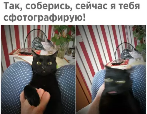 Смешная картинка №257700