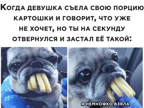 Смешная картинка №507200