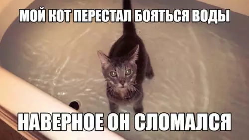 Смешная картинка №283451