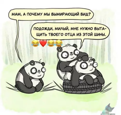 Смешная картинка №324894 животные
