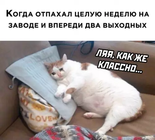 Смешная картинка №584839