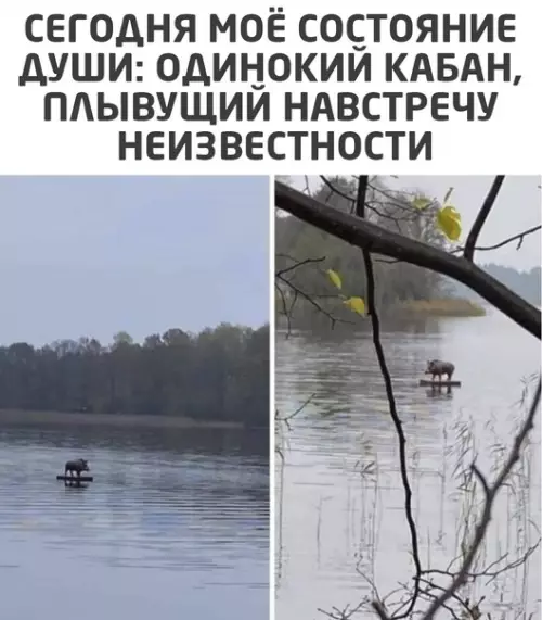 Смешная картинка №556003