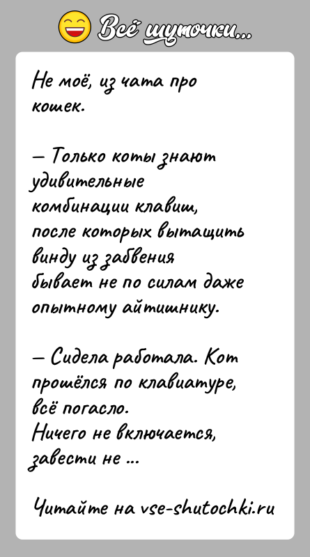 История: Не моё, из чата про кошек. Только коты знают удивительные комбинации клавиш, после которых вытащить винду из забвения бывает не