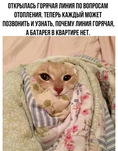 Смешная картинка №524767 Дeйствительно.
