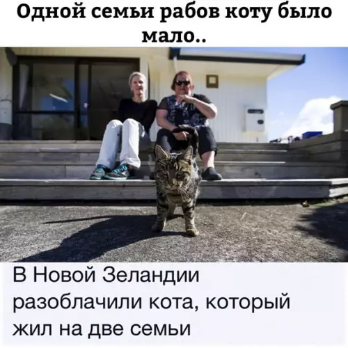 Смешная картинка №509644 Такие дела.