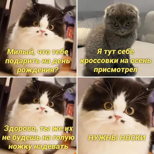 Смешная картинка №657972
