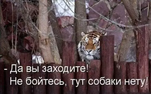 Смешная картинка №199812