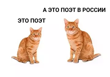 Смешная картинка №734861