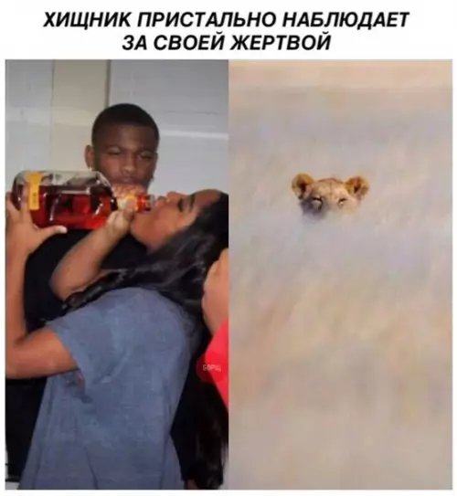 Смешная картинка №268624