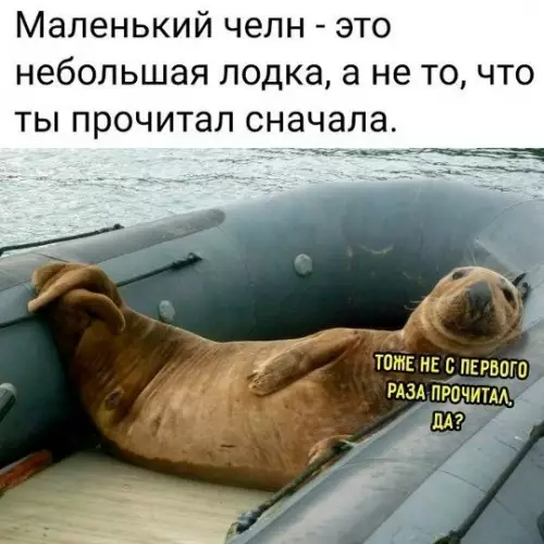 Смешная картинка №810792