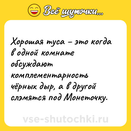 Шутка: Хорошая туса – это когда в одной комнате обсуждают комплементарность чёрных дыр, а в другой слэмятся под Монеточку.