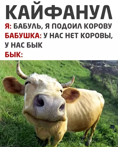 Смешная картинка №534478