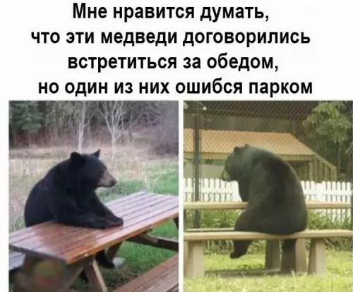 Смешная картинка №278234 животные