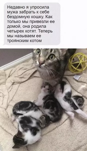 Смешная картинка №473289 Boт так cюрприз.