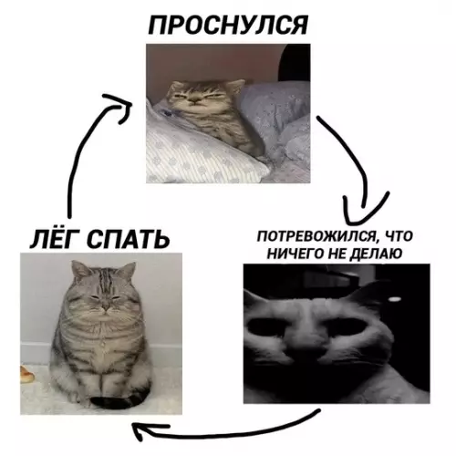 Смешная картинка №760651 Как проходит мой выходной