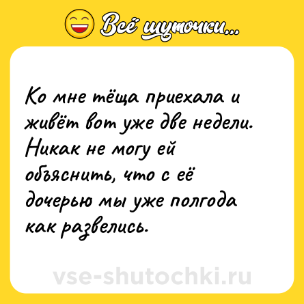 Шутка: Ко мне тёща приехала и живёт вот уже две недели. Никак не могу ей объяснить, что с её дочерью мы уже полгода как развелись.