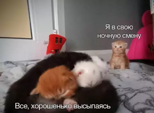 Смешная картинка №696154