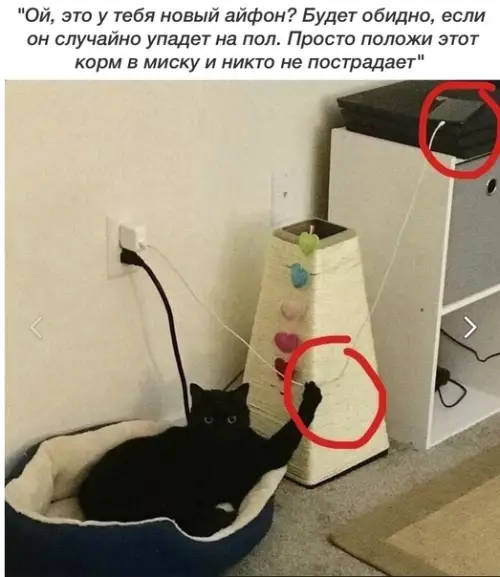 Смешная картинка №305580