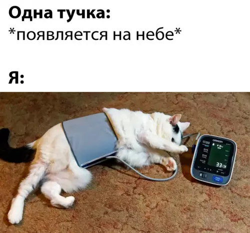 Смешная картинка №680424