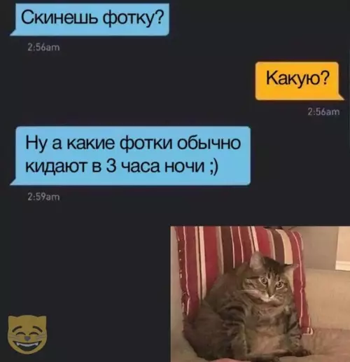 Смешная картинка №368029 #приколы #картинки #мемы ?