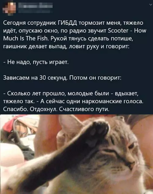 Смешная картинка №691887