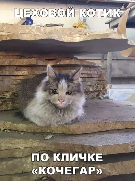 Смешная картинка №244979