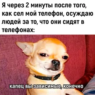 Смешная картинка №687944