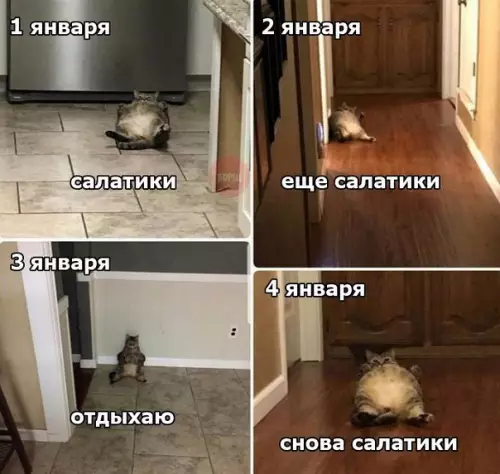 Смешная картинка №234944 Планы на новый год