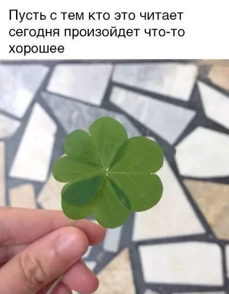 Смешная картинка №252937