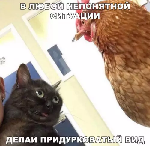 Смешная картинка №207000