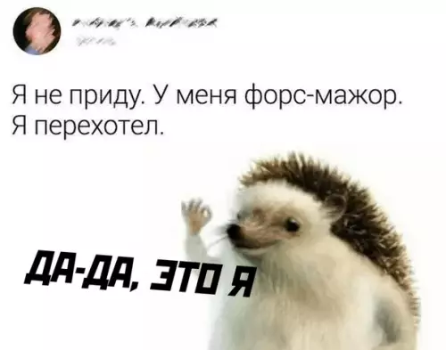 Смешная картинка №517039