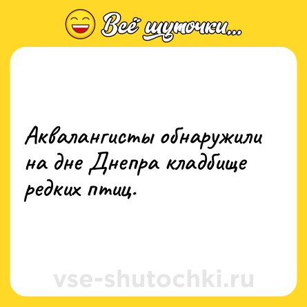 Шутка: Аквалангисты обнаружили на дне Днепра кладбище редких птиц.