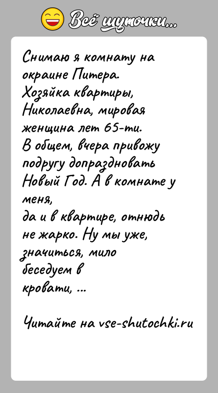 История: Снимаю я комнату на окраине Питера.Хозяйка квартиры, Николаевна, мировая женщина лет 65-ти.В общем, вчера привожу подругу допраздновать Новый Год. А