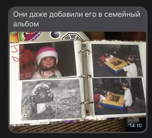 продолжение Смешная картинка №632050
