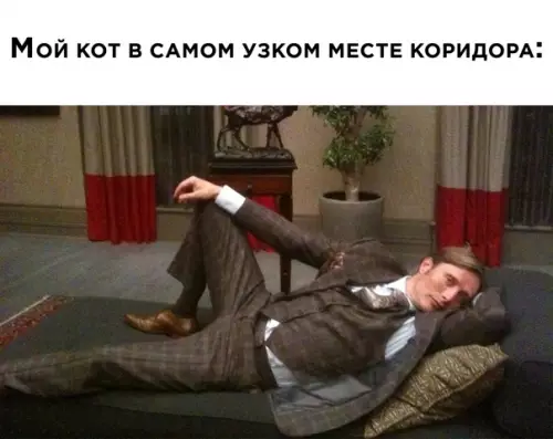 Смешная картинка №585763