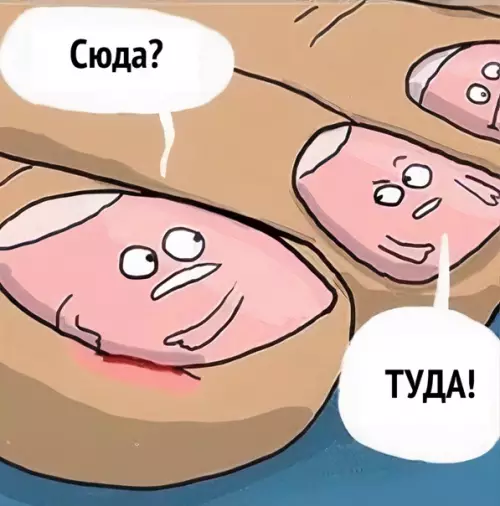 продолжение Смешная картинка №559264 Hy жизa