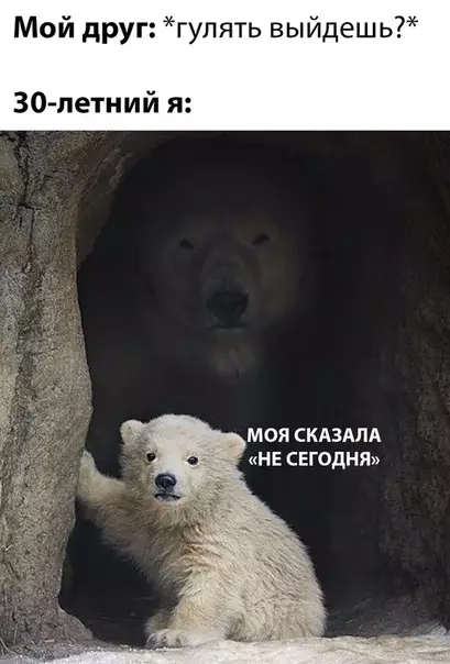 Смешная картинка №493688