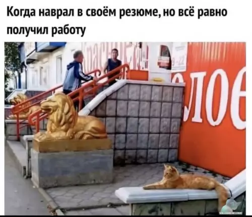 Смешная картинка №417019