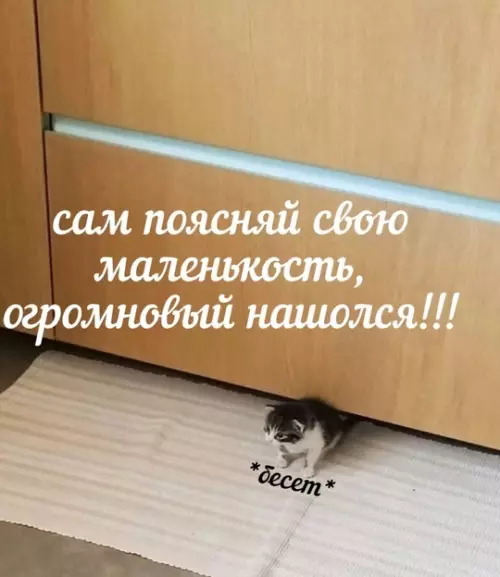 Смешная картинка №778074