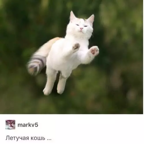 Смешная картинка №240574