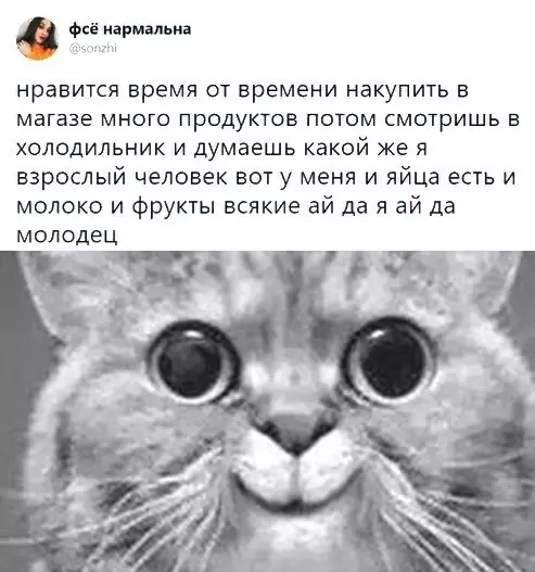 Смешная картинка №383498