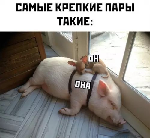Смешная картинка №697775
