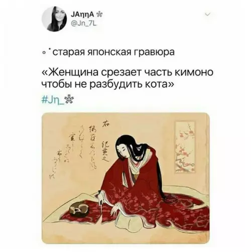 Смешная картинка №257749 кот, япония