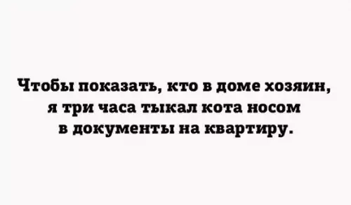 Смешная картинка №467806 Ну а чё он?